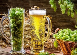 efectele consumului moderat de bere